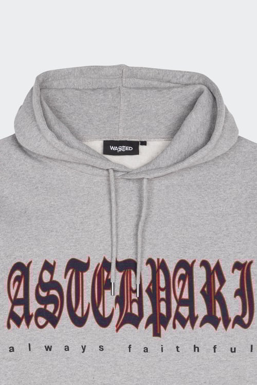 WASTED Hoodie  Gris