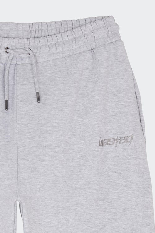 WASTED Pantalon de survêtement Gris