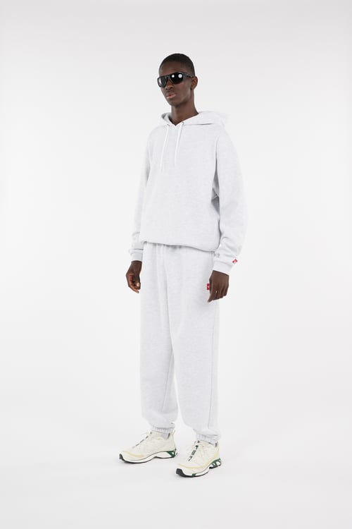 THE NORTH FACE Hoodie Gris