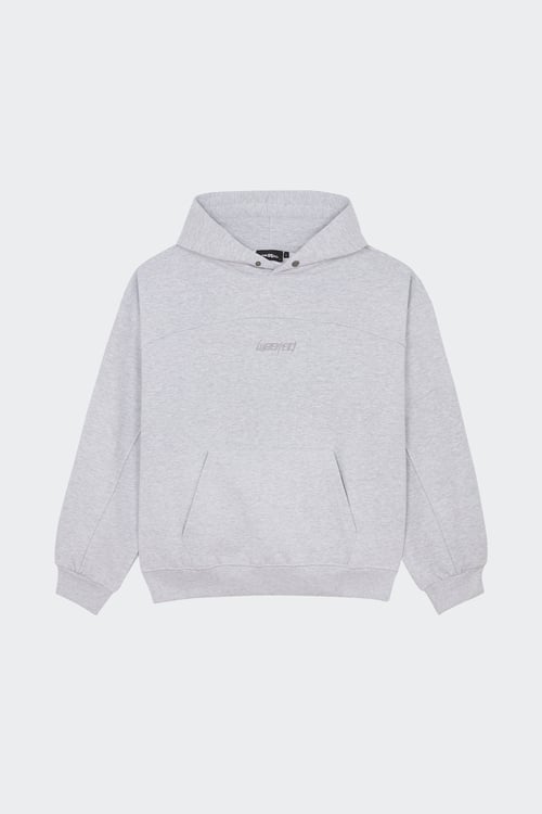 WASTED Hoodie Gris