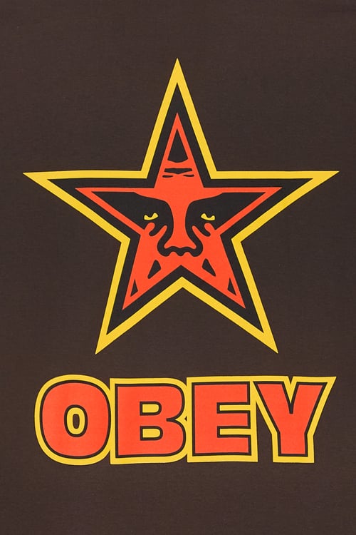 OBEY T-shirt Marron