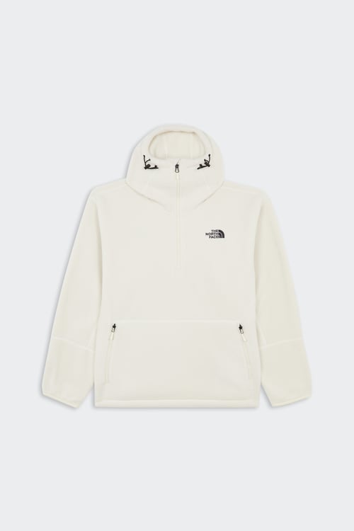 THE NORTH FACE Hoodie Beige