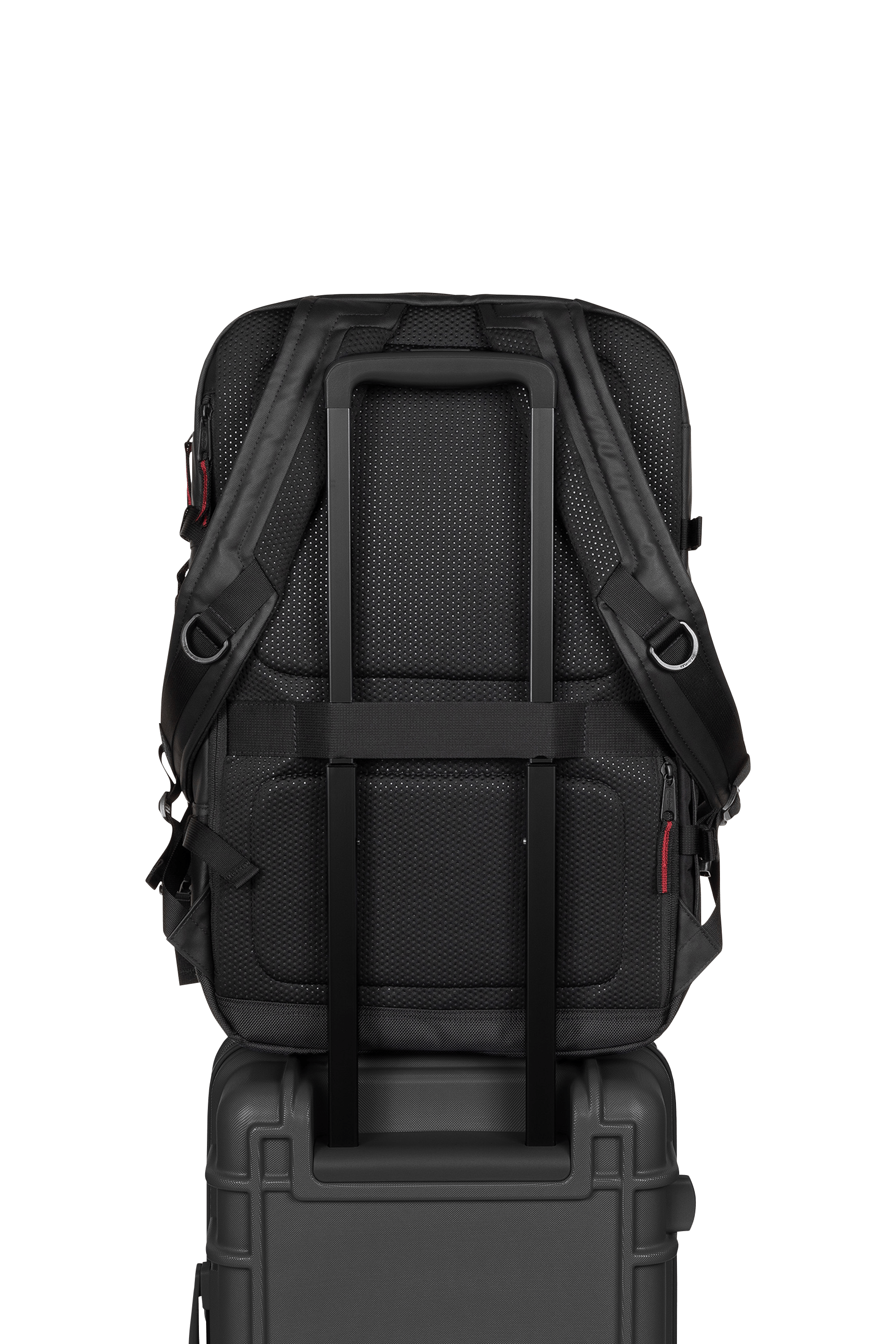 Canvas backpack | Black EASTPAK Men