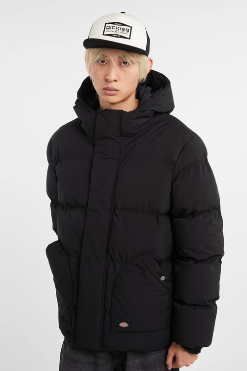 DICKIES Lightweight quilted padded jacket with high neck Black