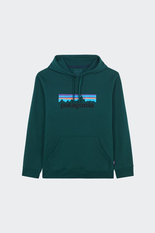PATAGONIA Hoodie Vert