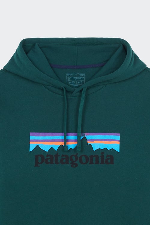 PATAGONIA Hoodie Vert