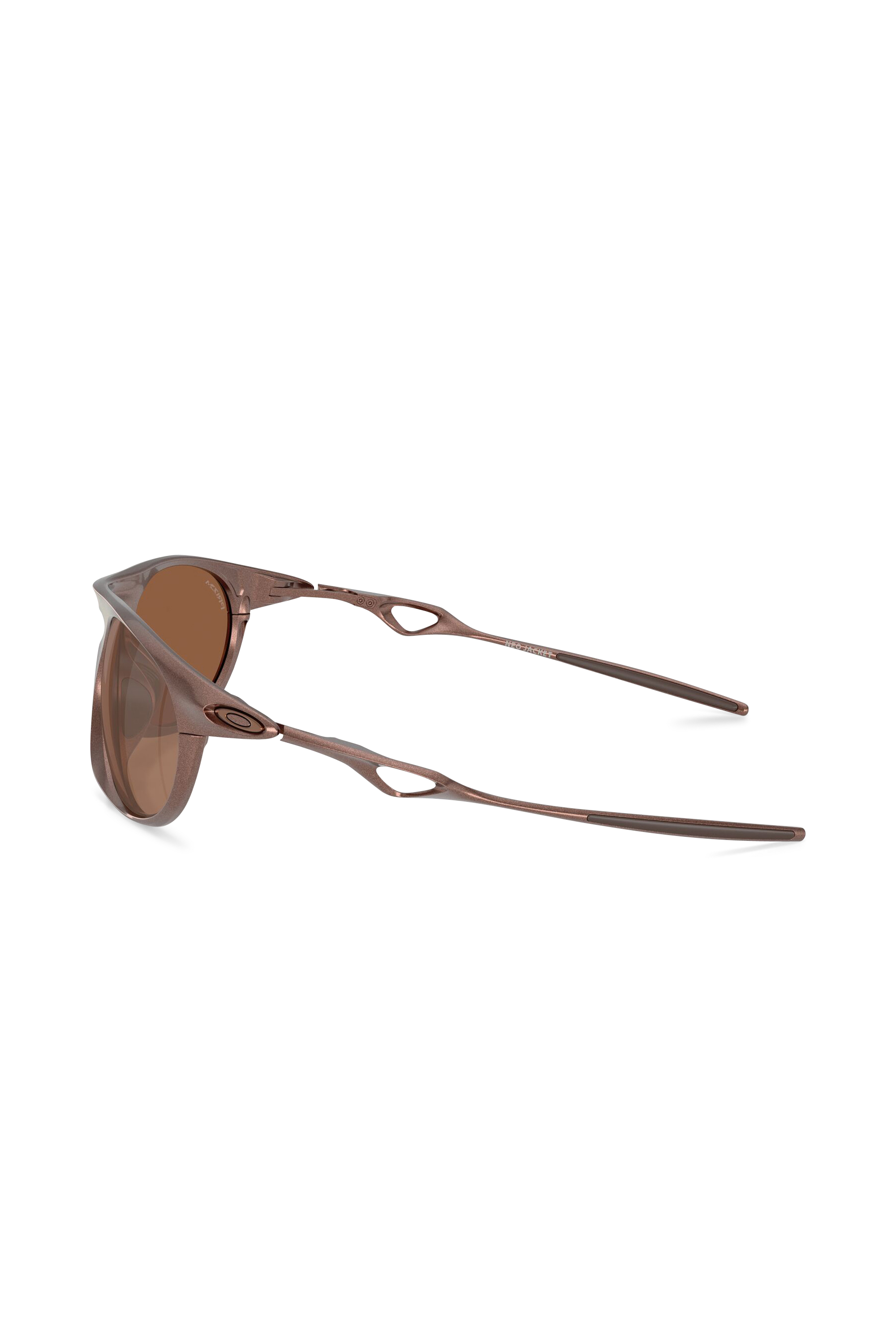 Alumni sunglasses | Brown OAKLEY Men