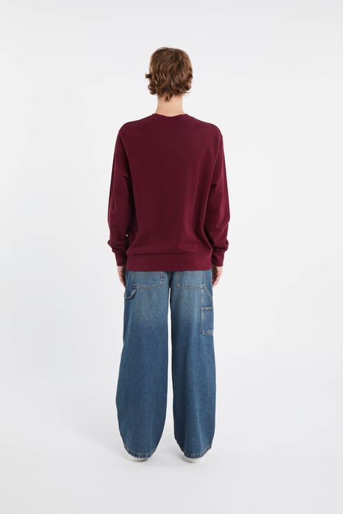 POLO RALPH LAUREN Sweatshirt Rouge