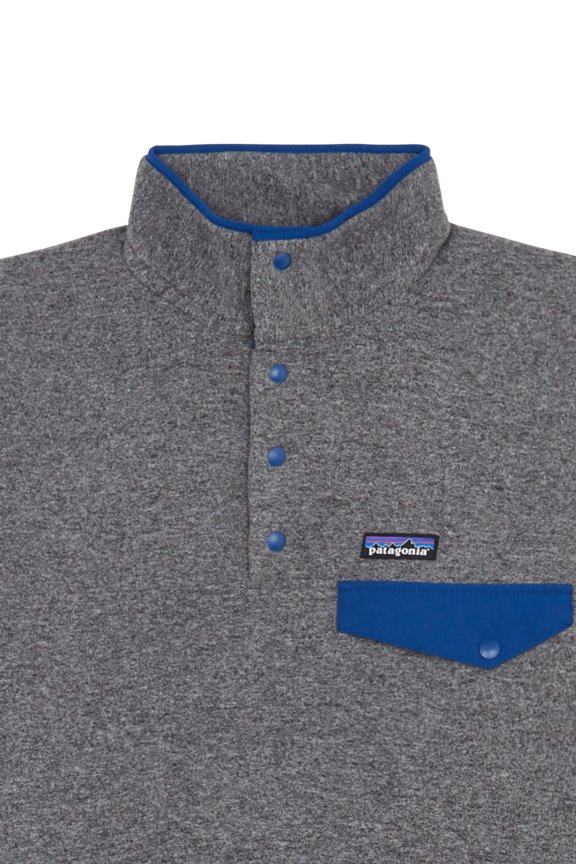 Polaire | Gris PATAGONIA Homme