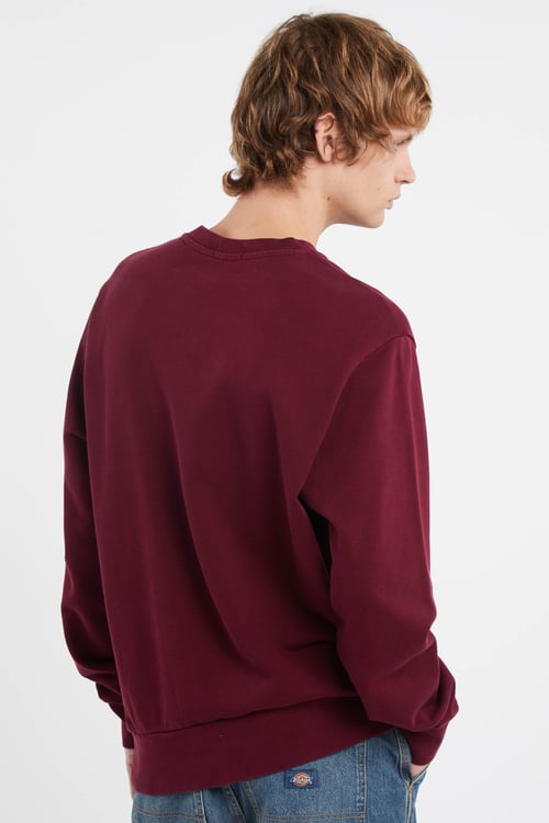 POLO RALPH LAUREN Sweatshirt Rouge