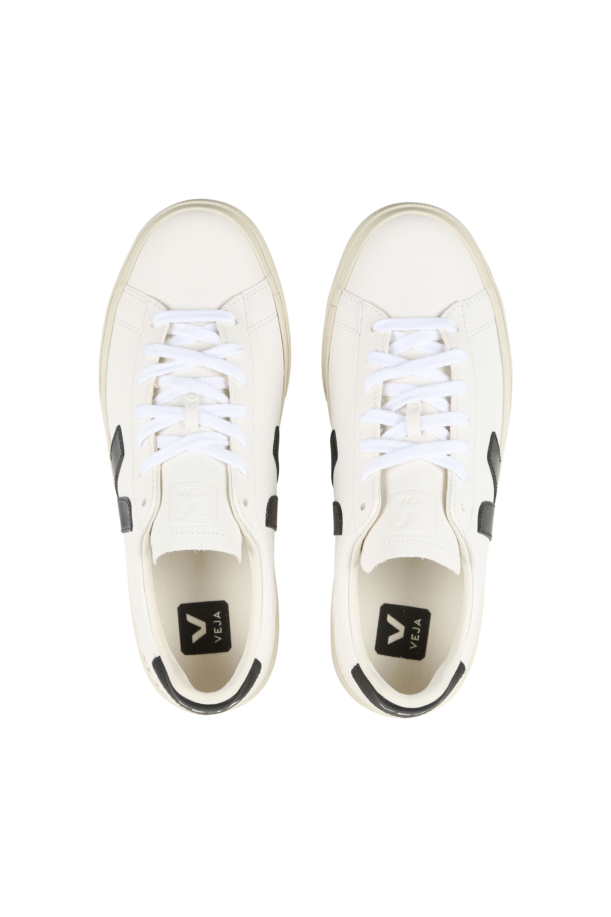 Baskets basses Blanc
