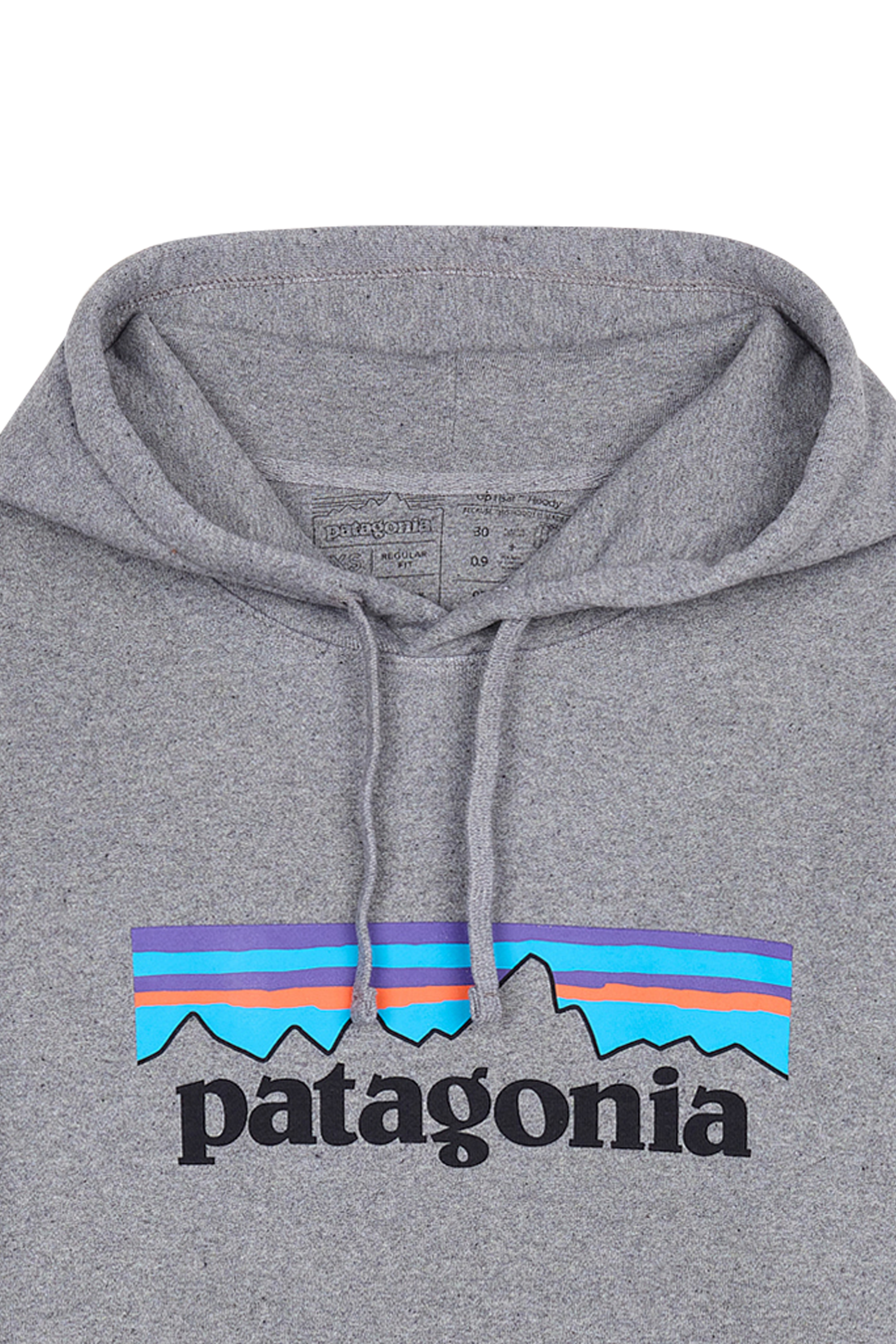 Hoodie PATAGONIA Gris