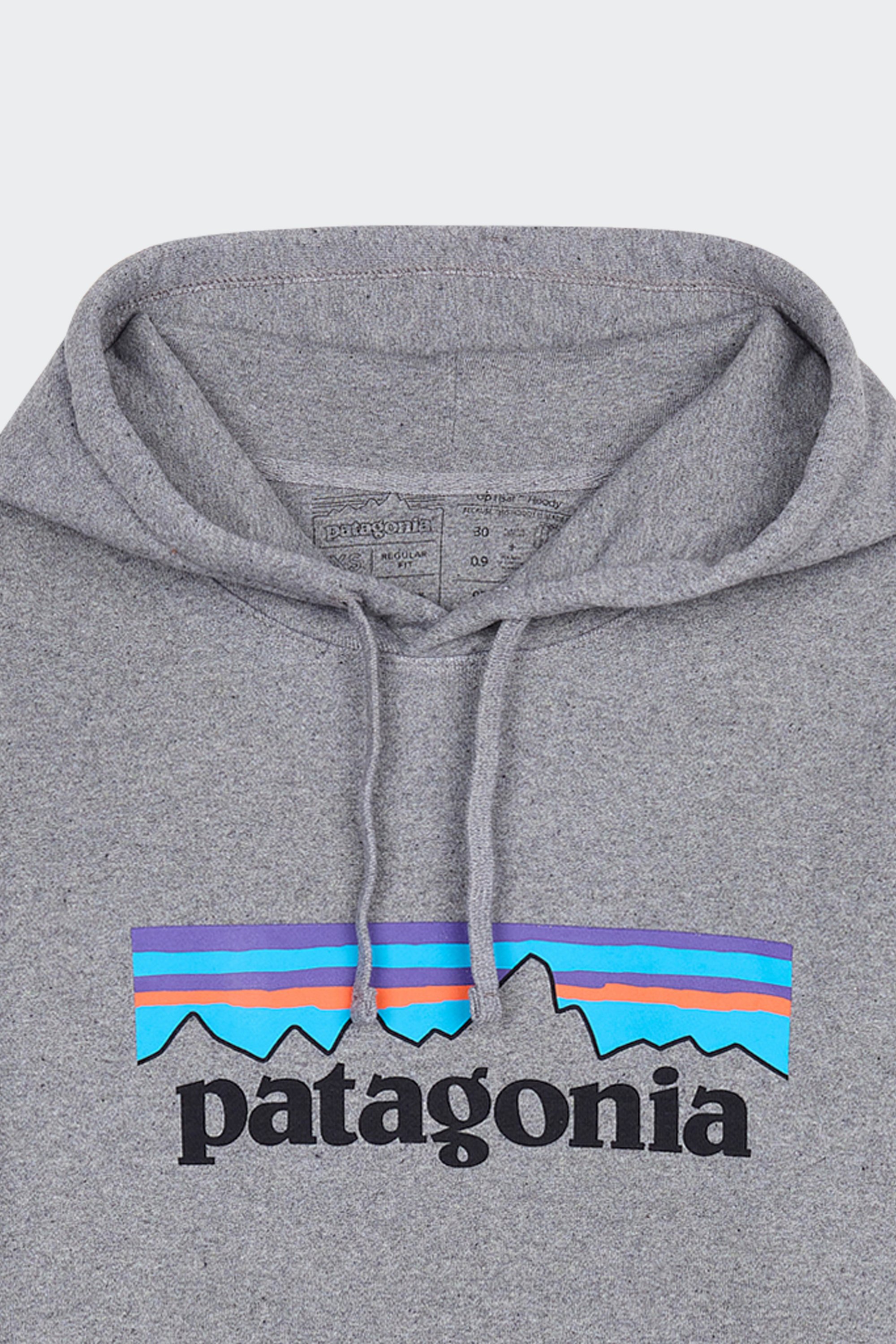 Hoodie | Gris by PATAGONIA Hoodie Gris