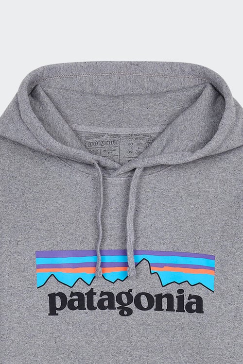 PATAGONIA Hoodie Gris