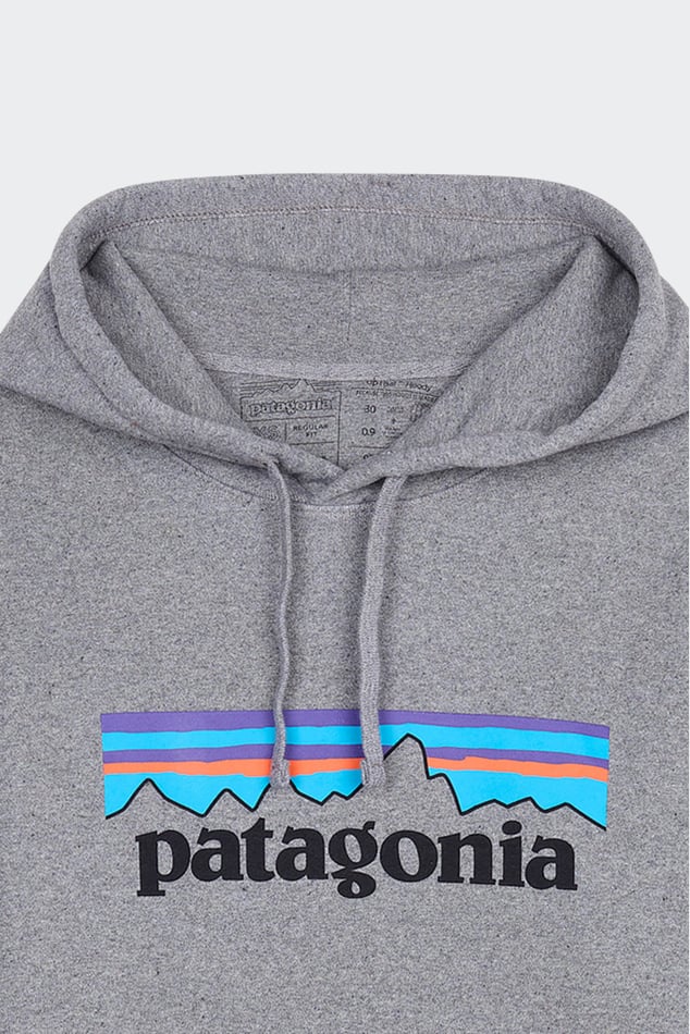 Sweat a Capuche Oversize En Coton Melange Gris Patagonia Homme Extension fmedShops