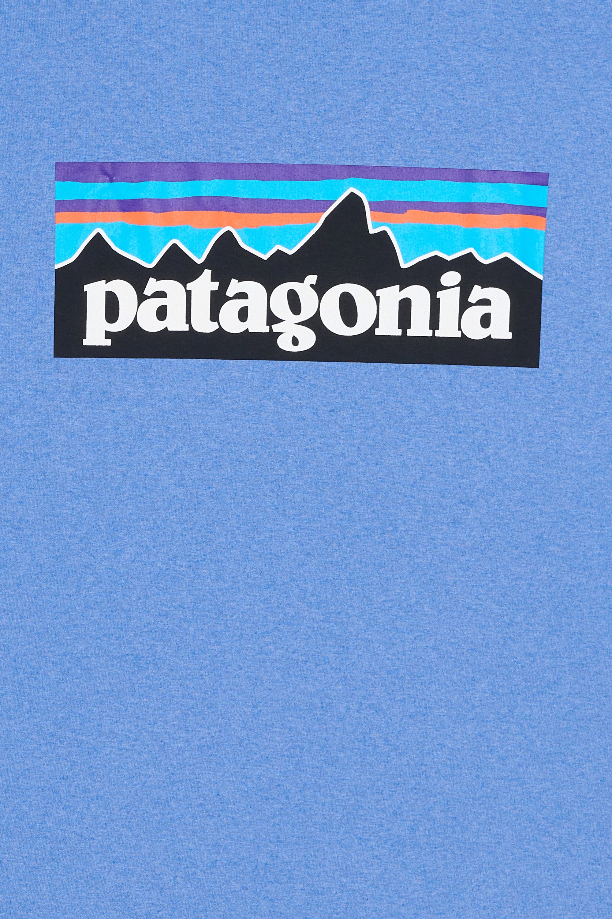 T-shirt | Blue by PATAGONIA T-shirt Blue