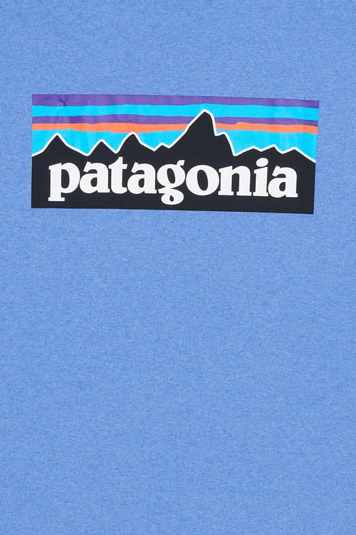 PATAGONIA T-shirt  Bleu