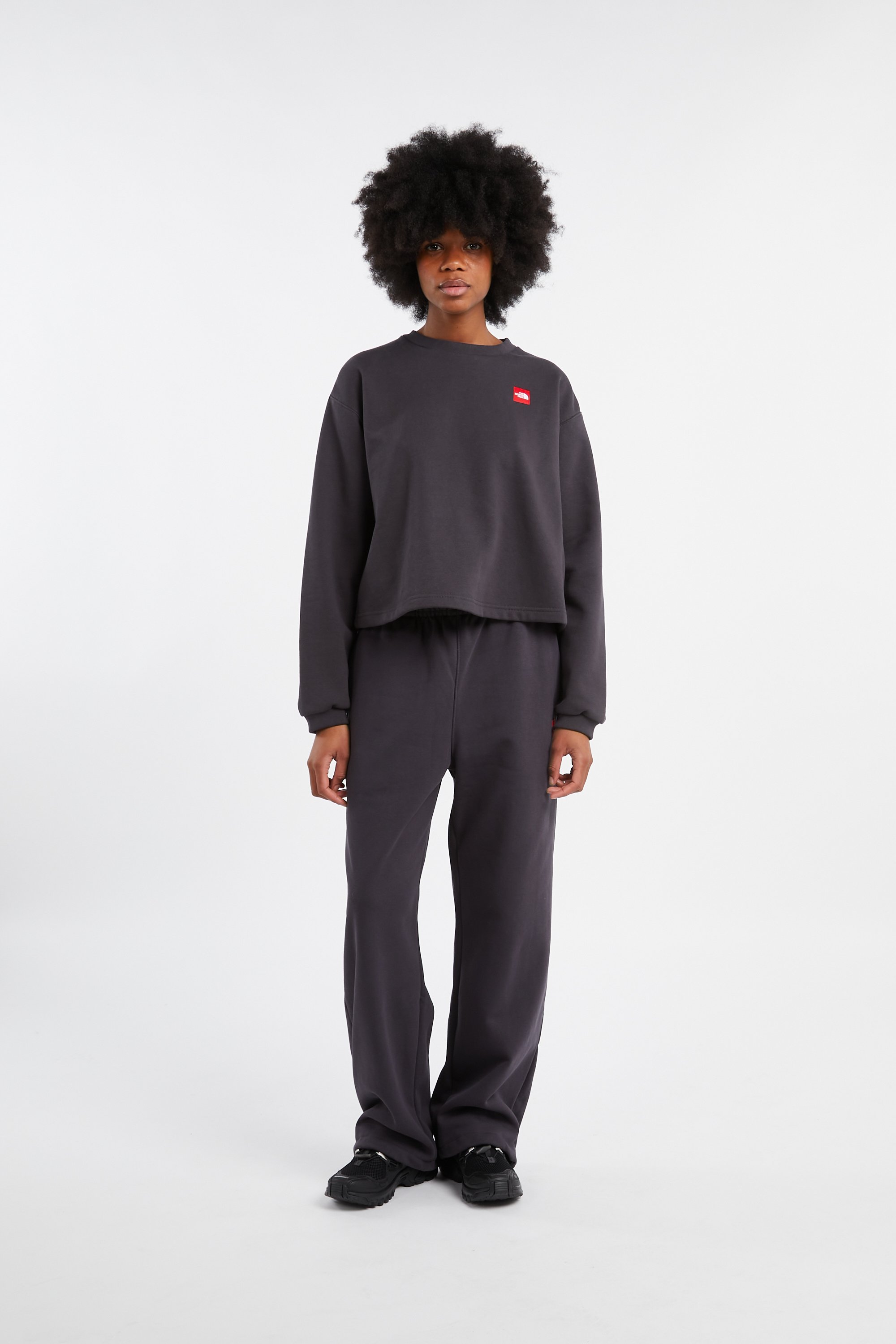 Sweatshirt THE NORTH FACE Gris