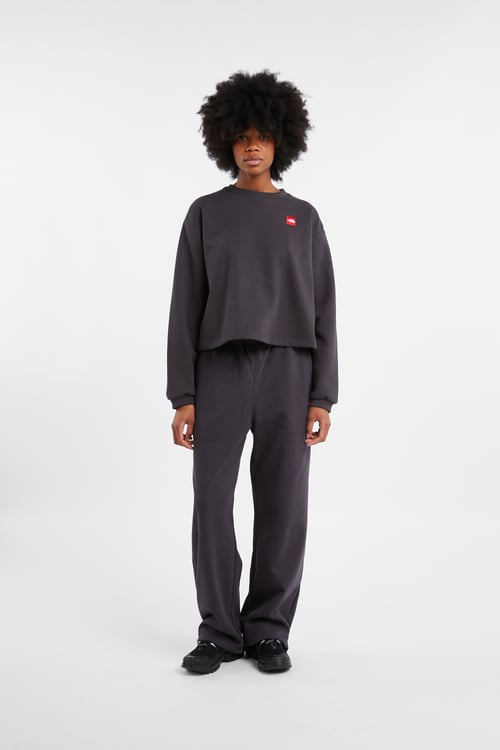 THE NORTH FACE Sweatshirt Gris