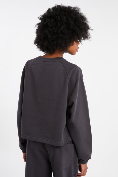 THE NORTH FACE Sweatshirt Gris