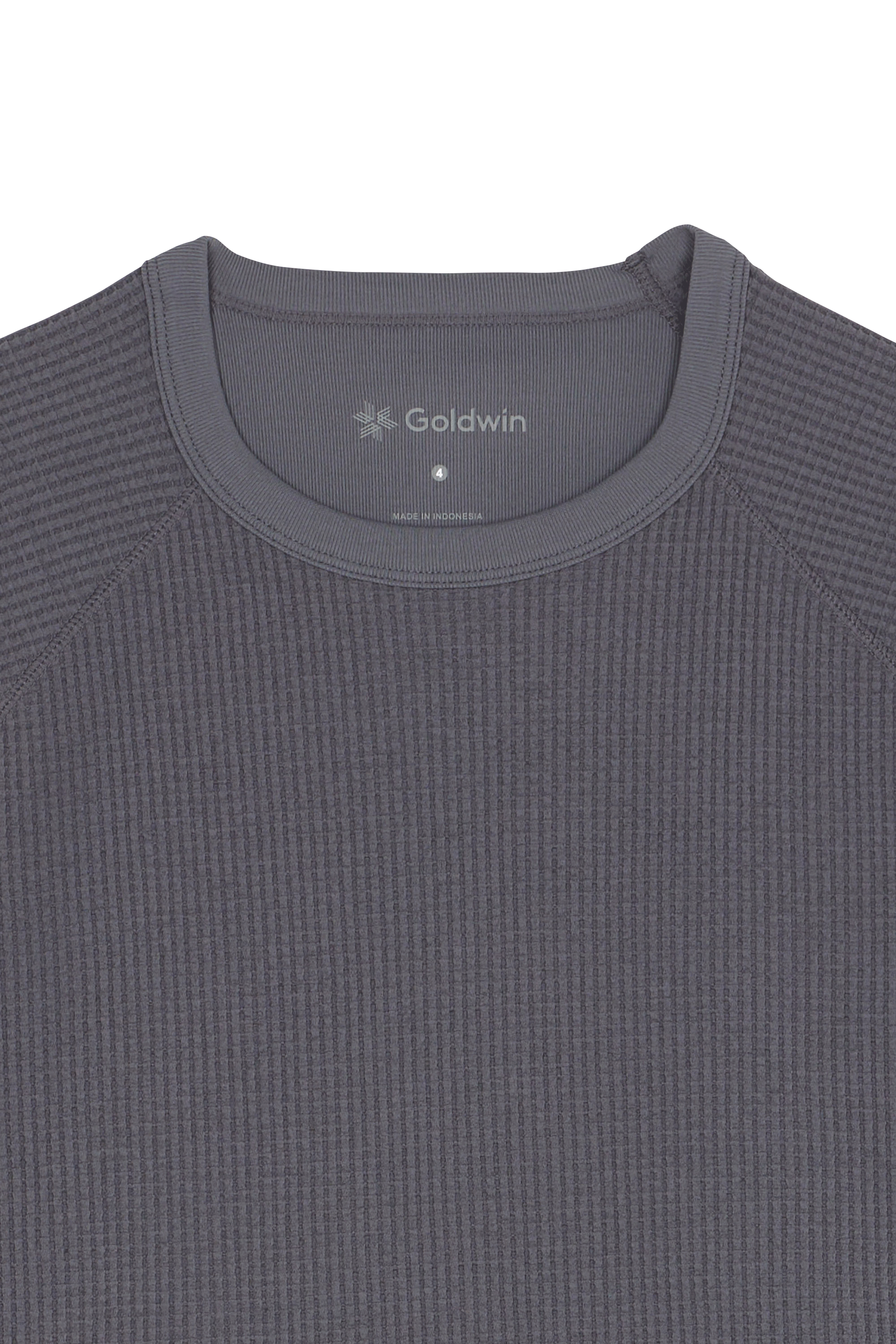 T-shirt GOLDWIN Gris