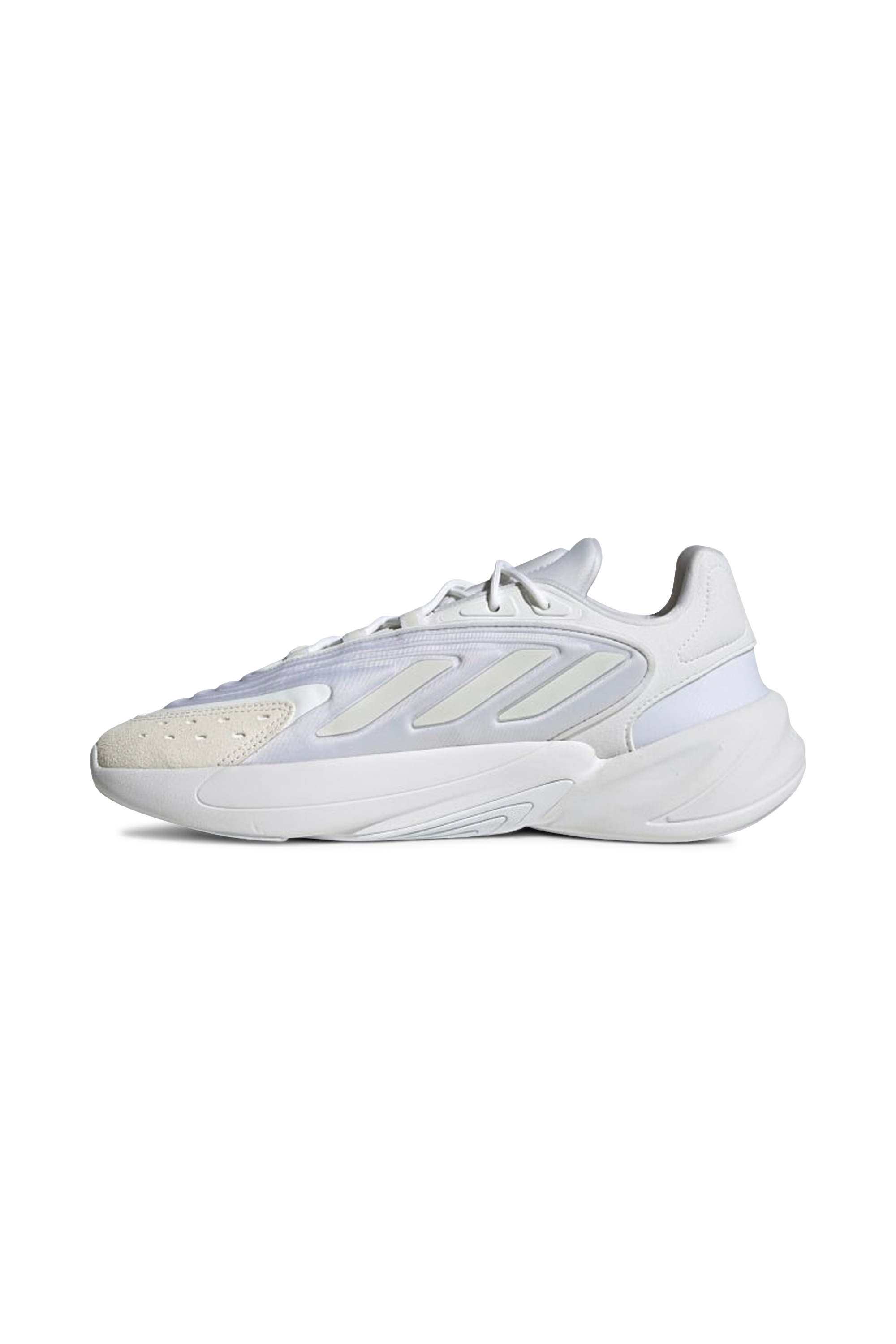 Baskets basses Blanc