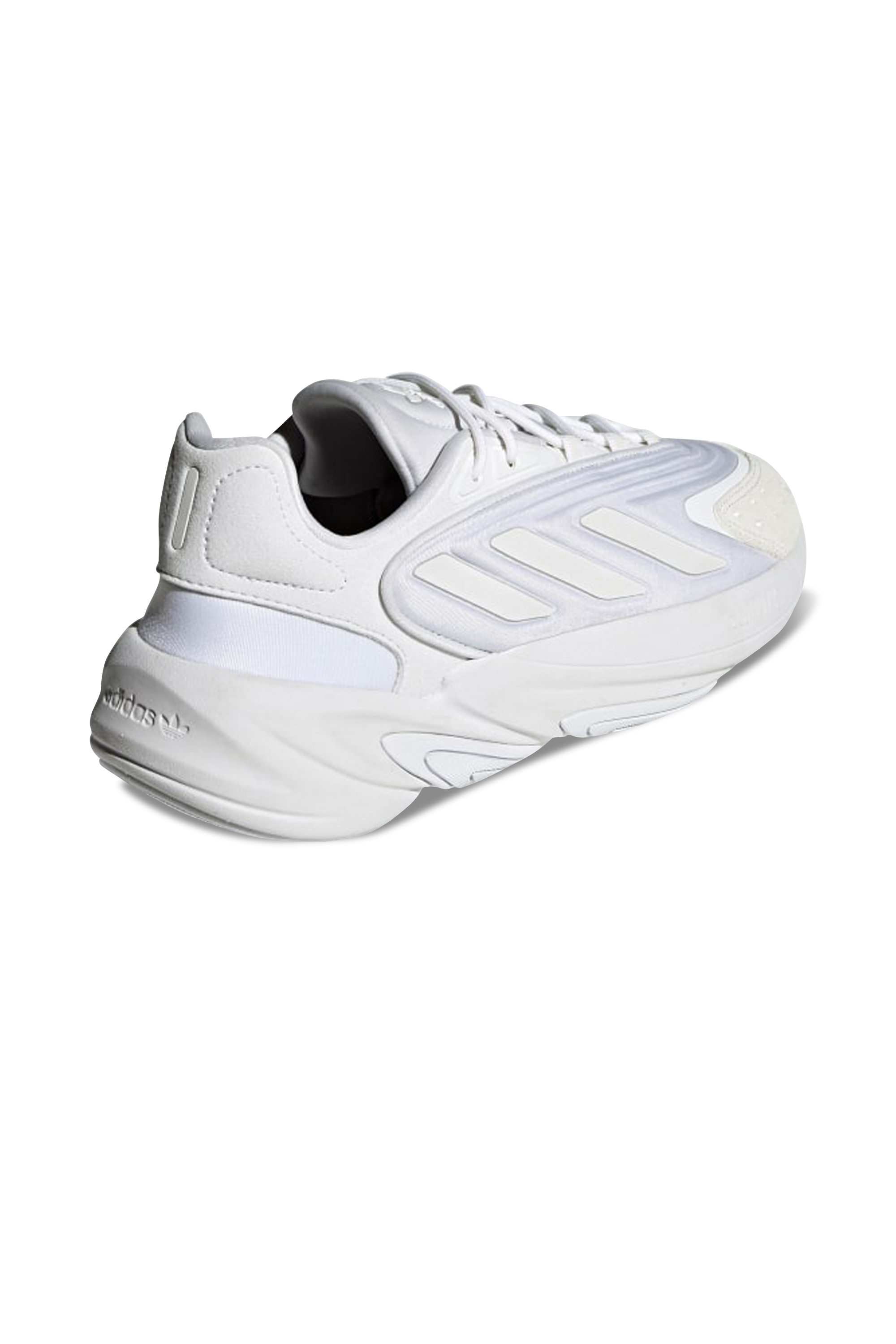 Baskets basses Blanc