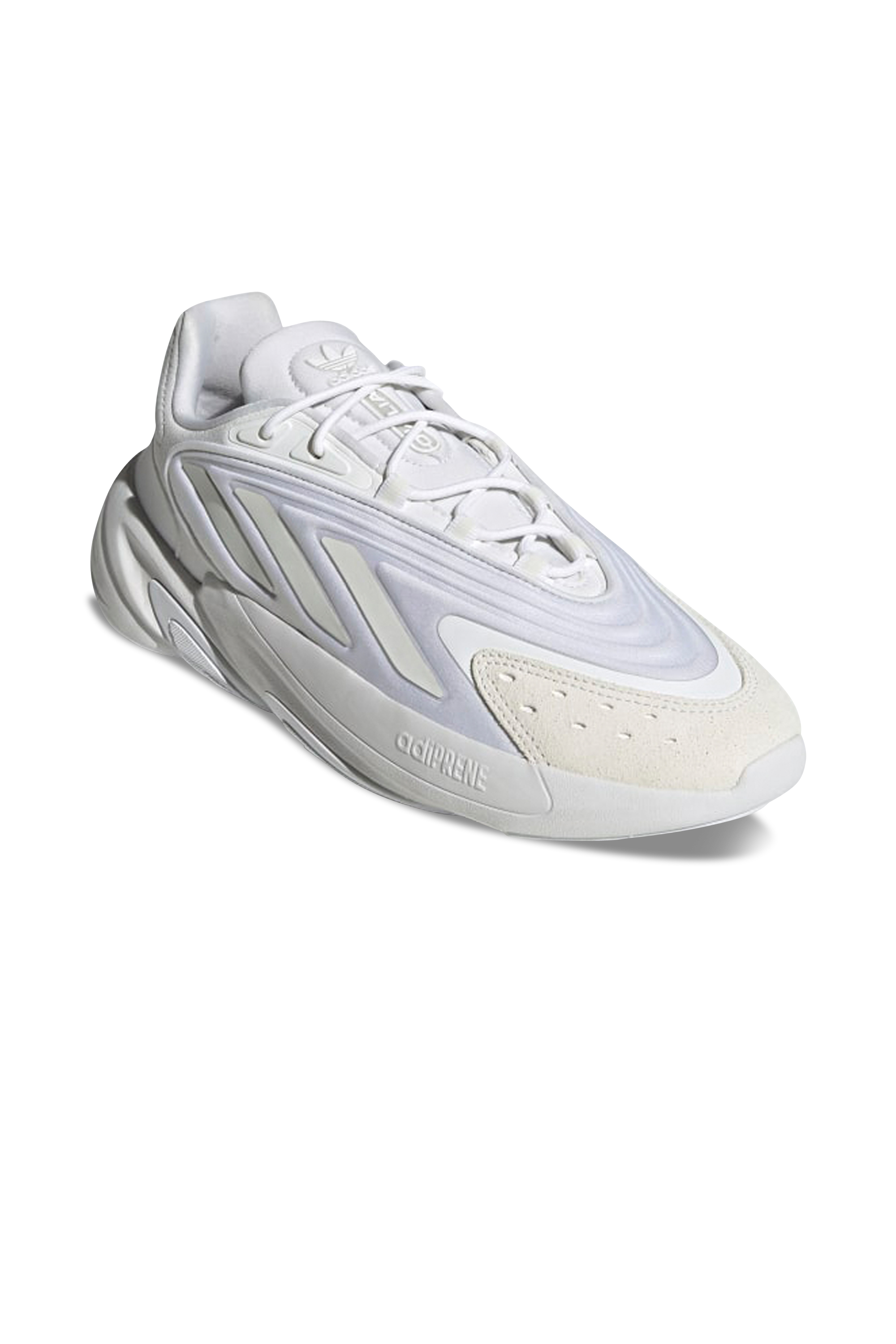 Baskets basses Blanc