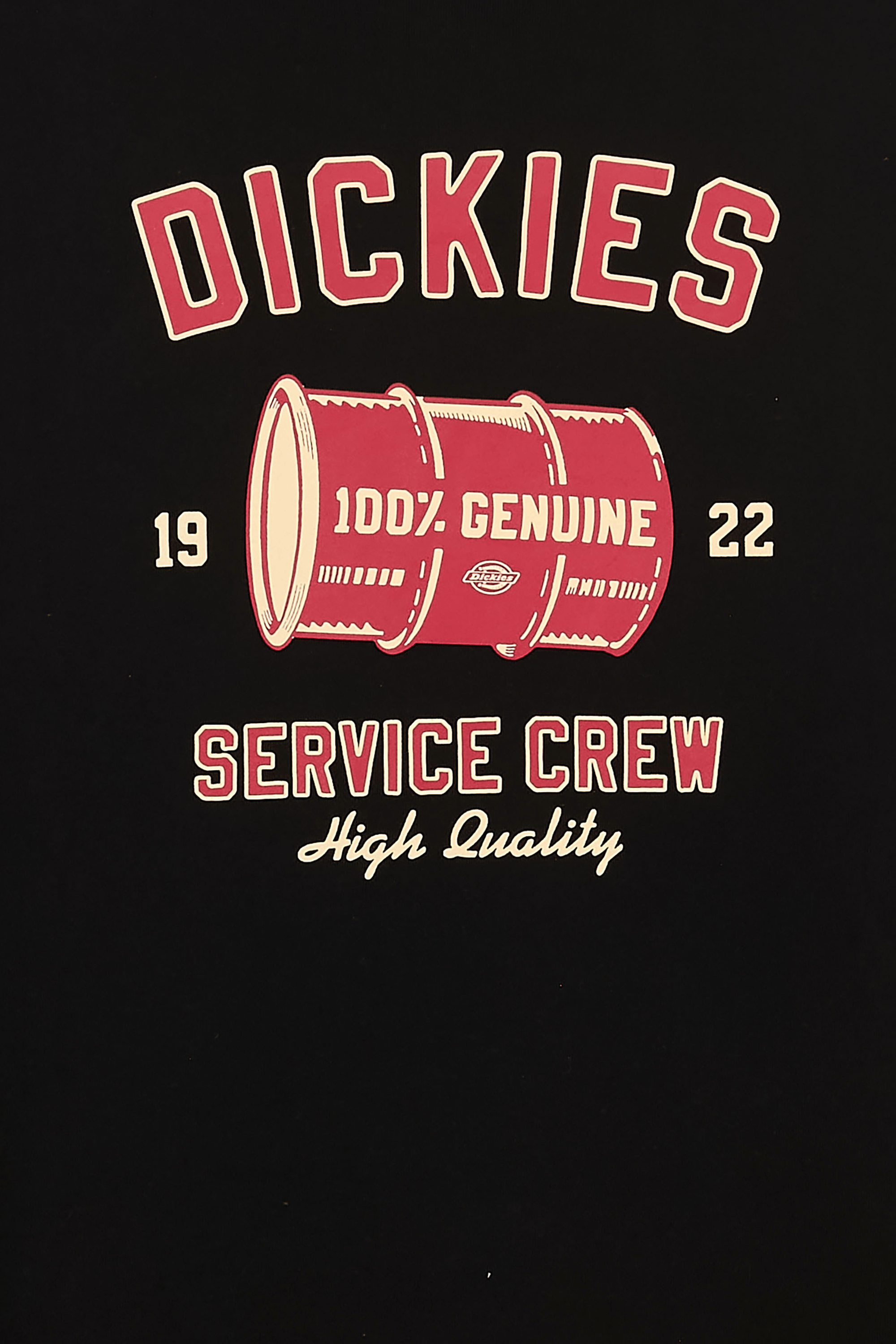 Hoodie | Noir DICKIES Homme