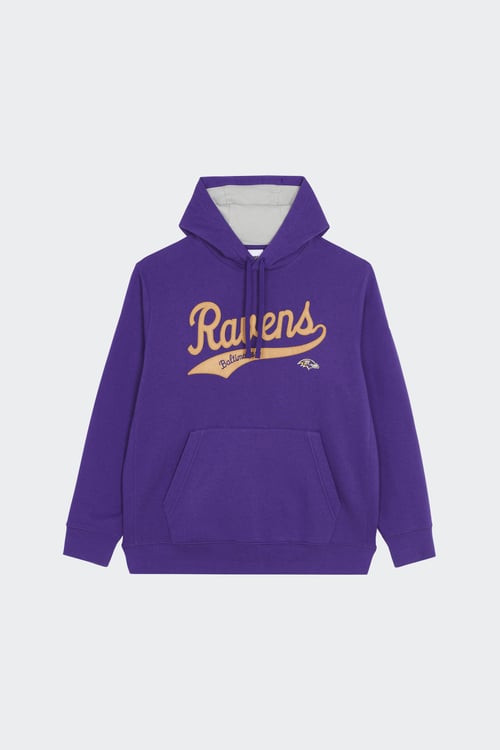 NIKE NFL Hoodie Violet