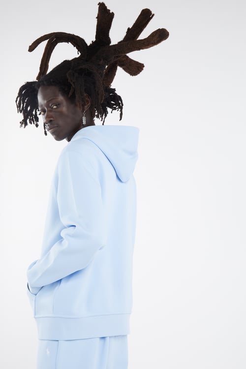 POLO RALPH LAUREN Hoodie zippé Bleu