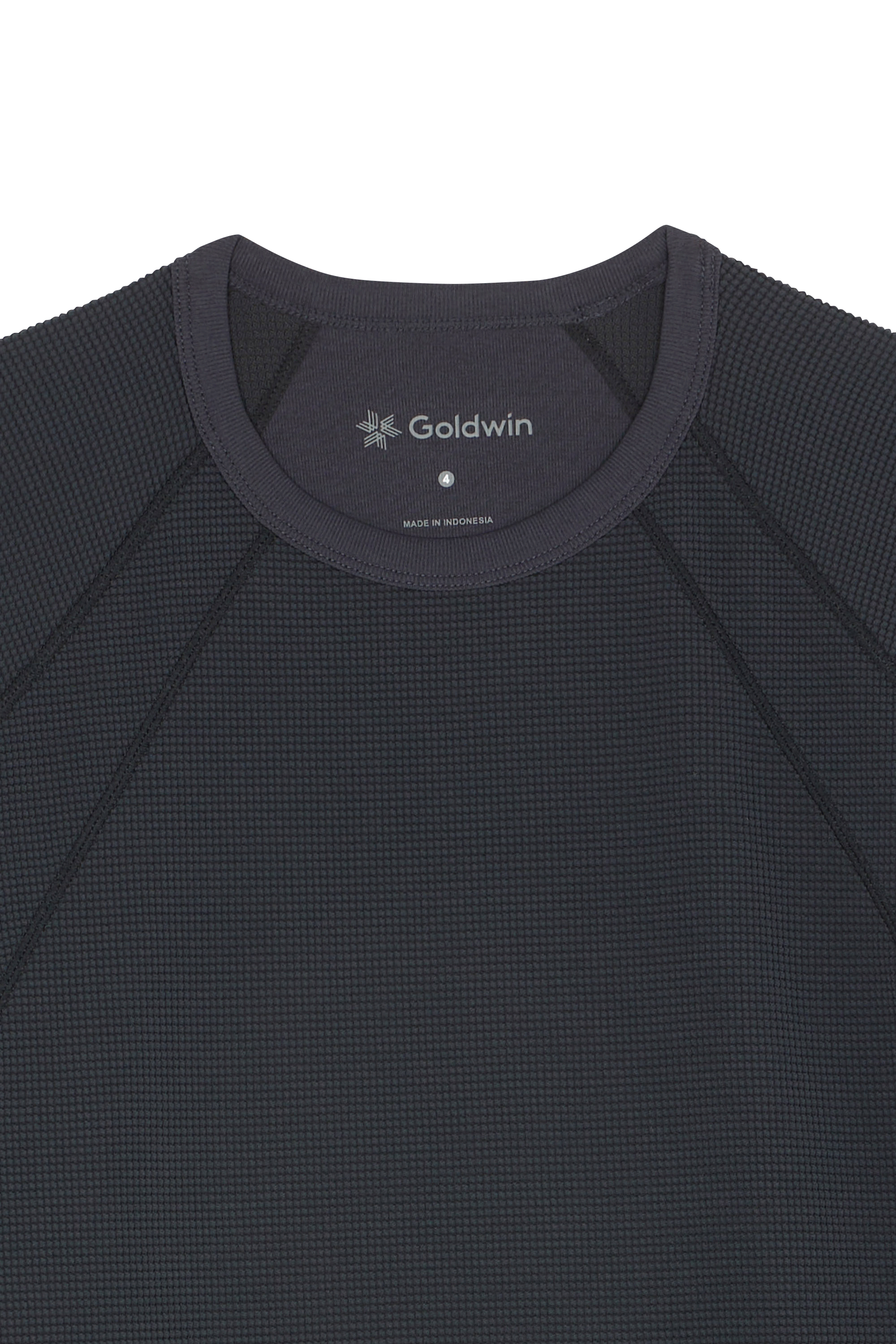 T-shirt GOLDWIN Gris