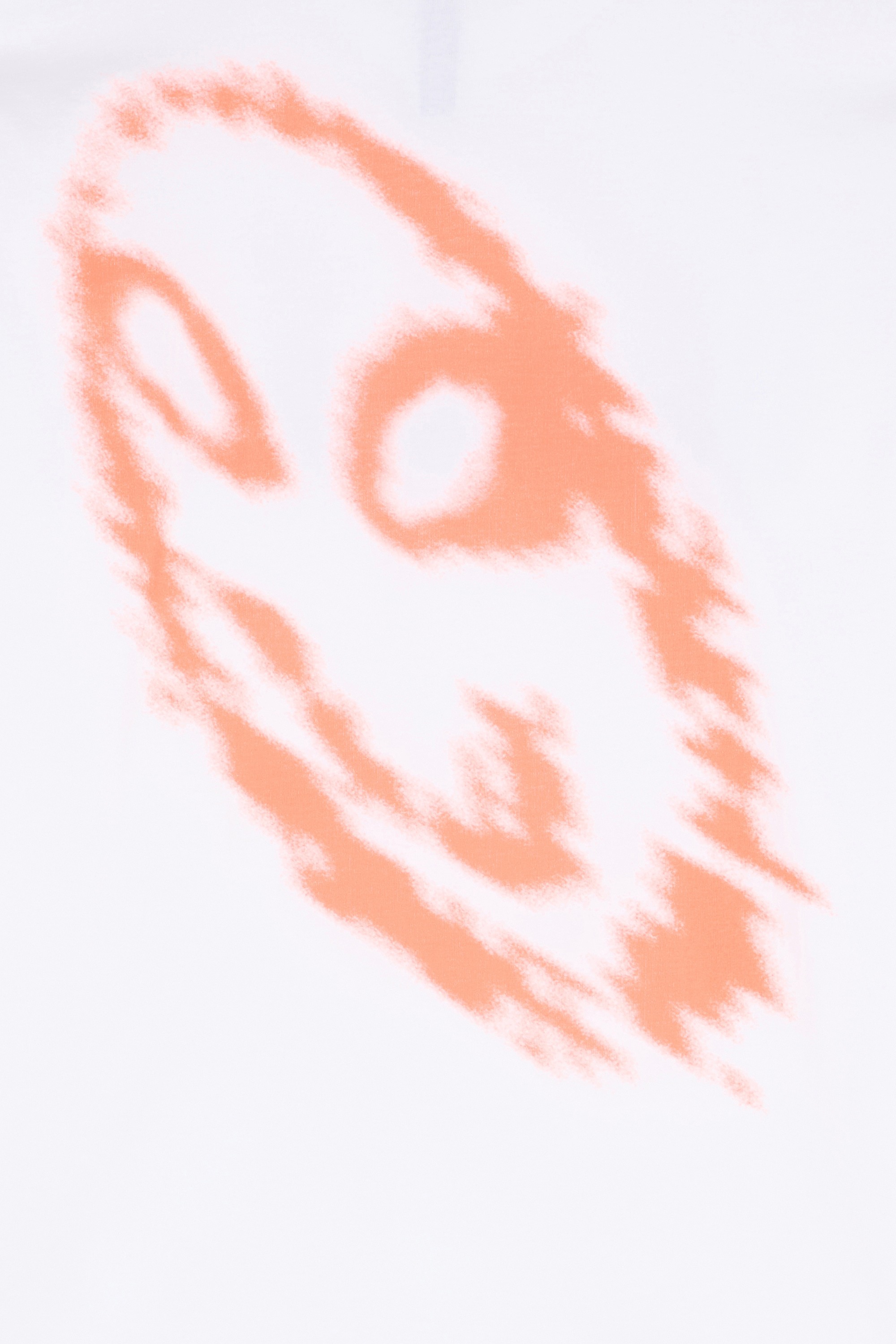 Regular-fit round-neck cotton T-shirt White