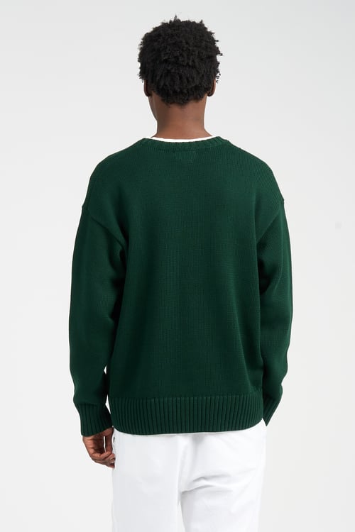 POLO RALPH LAUREN Sweater Green