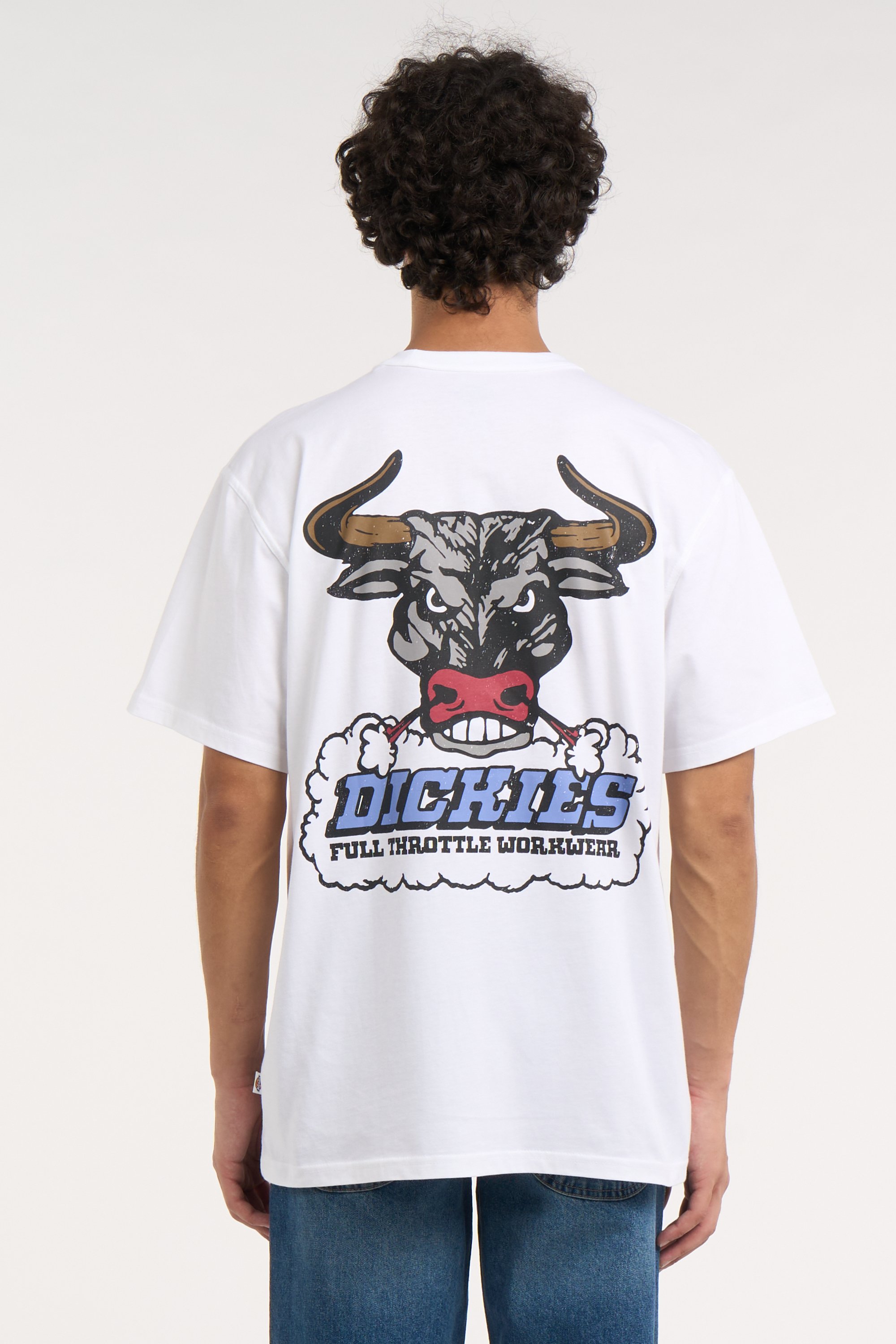 Regular-fit round-neck cotton T-shirt | White DICKIES Men
