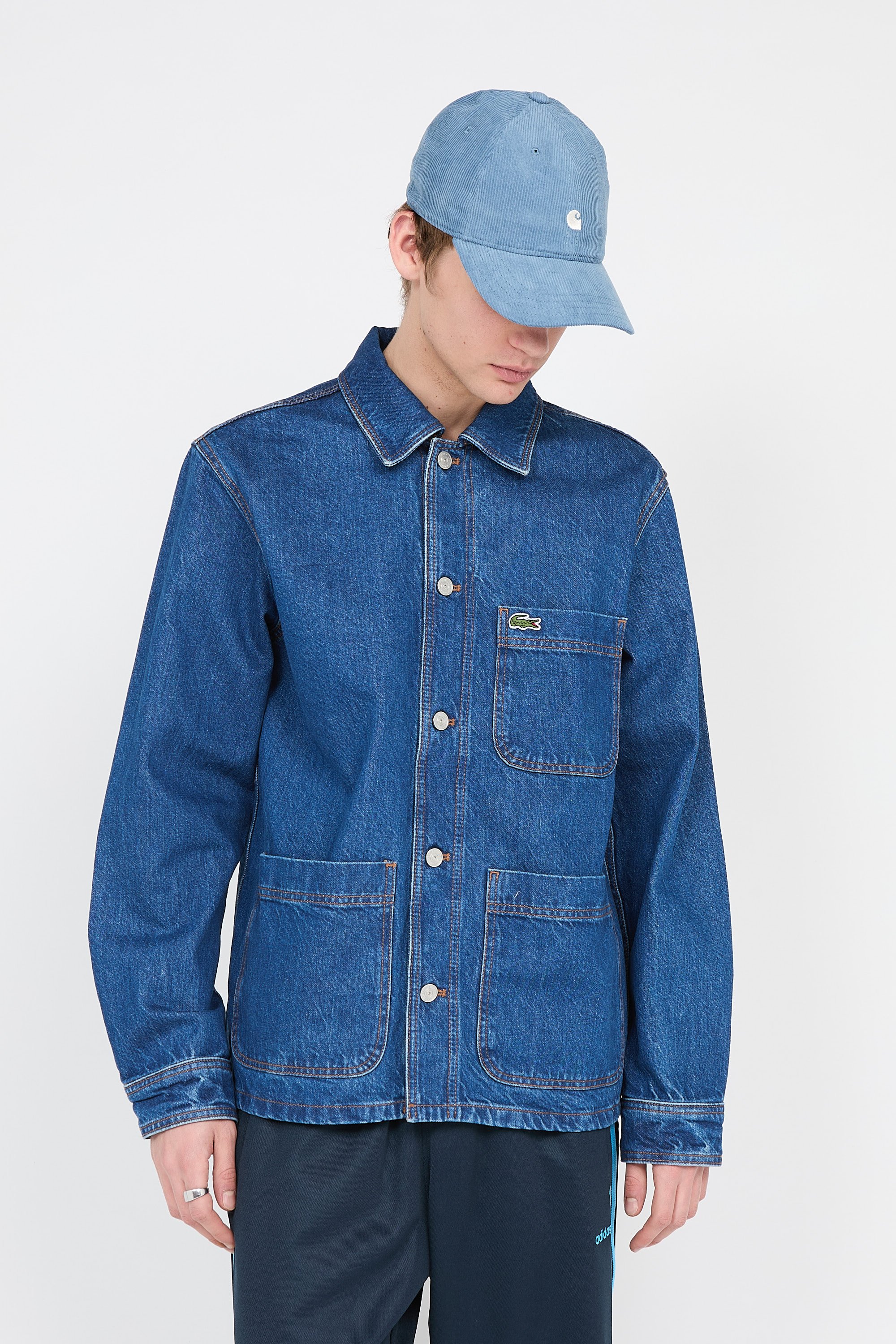 Veste | Bleu LACOSTE Homme