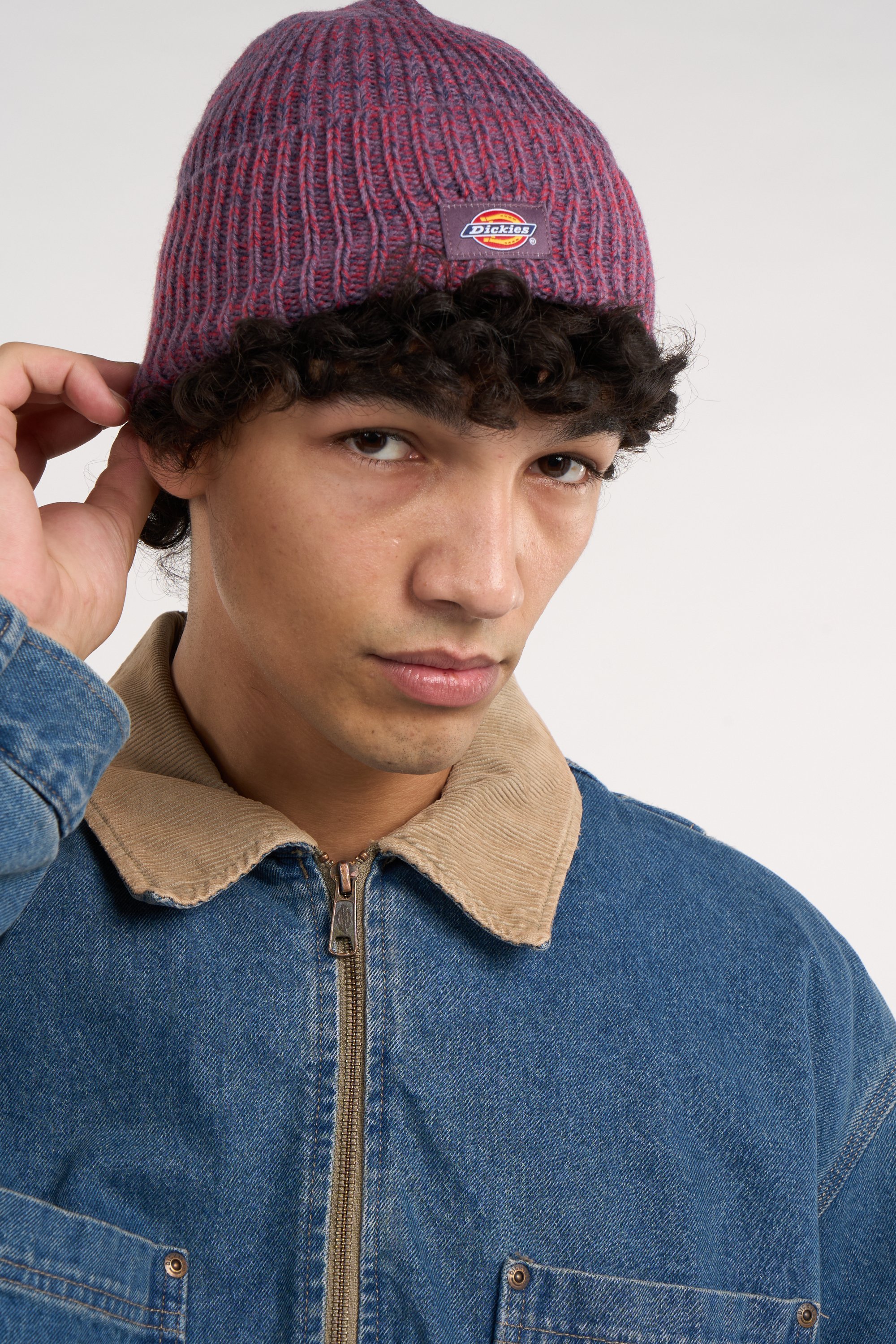Beanie | Purple DICKIES Men