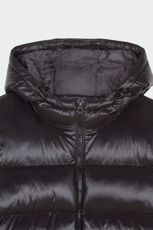 SCHOTT puffer coat Black