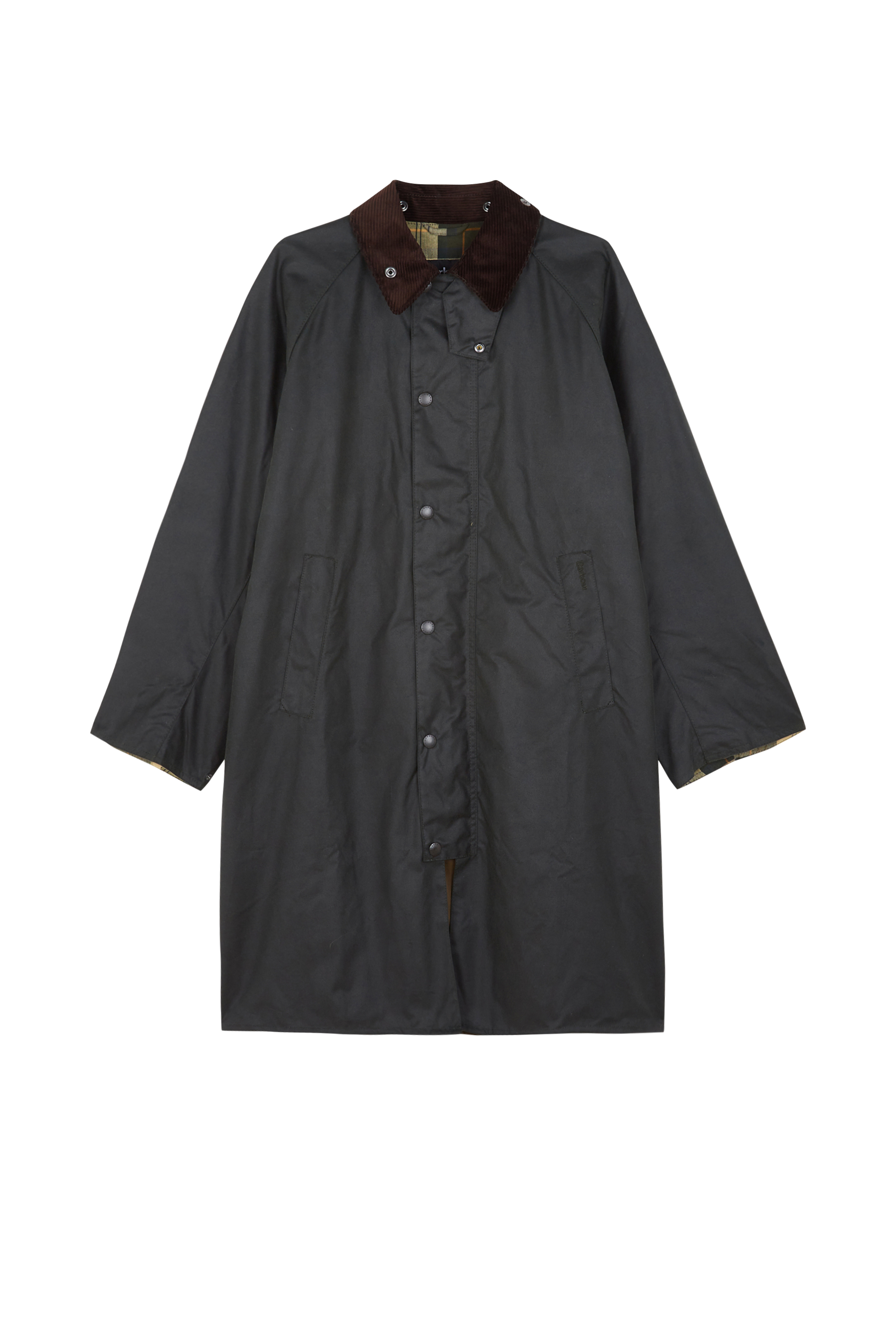 Veste Vert