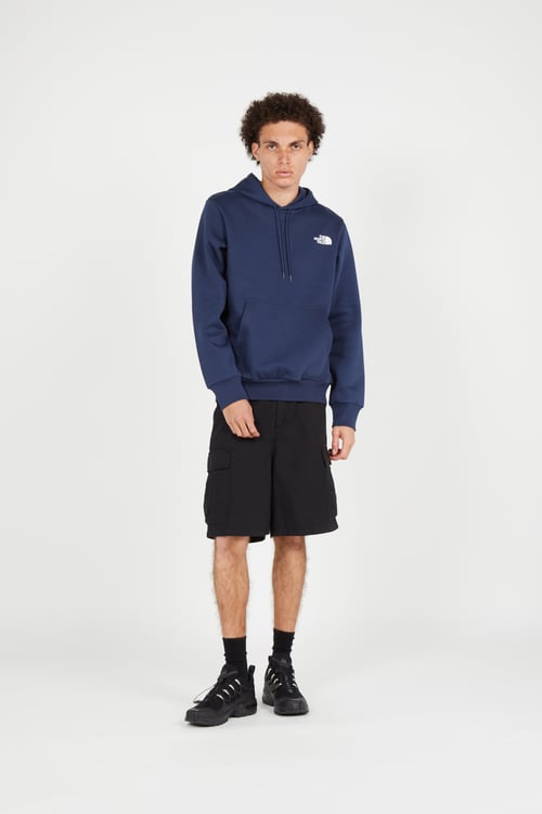 THE NORTH FACE Hoodie Bleu