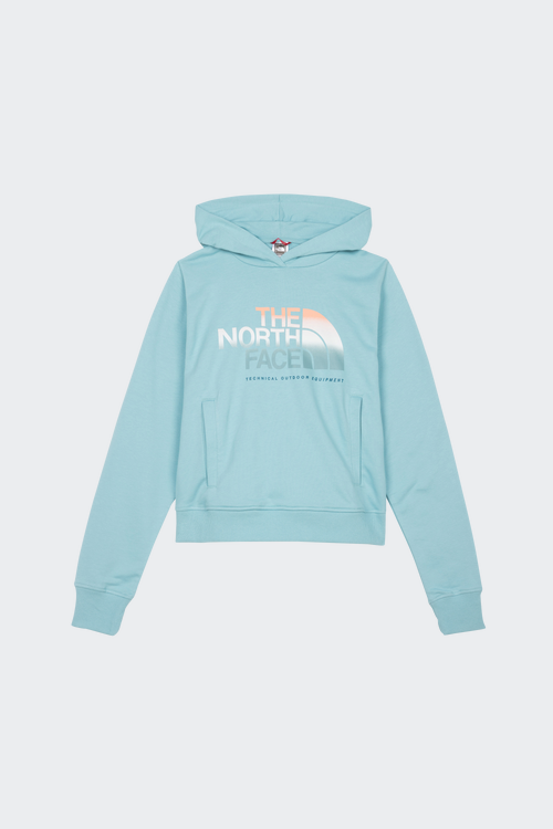 hoodie femme north face