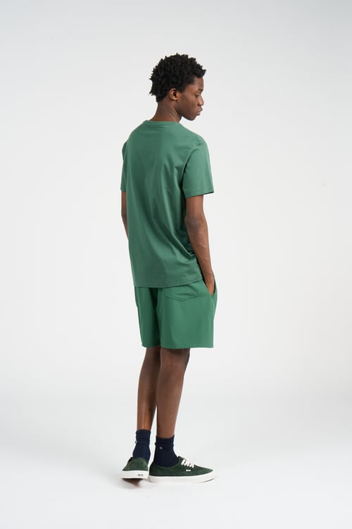 POLO RALPH LAUREN Short de bain Vert