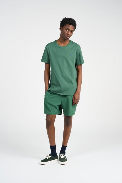POLO RALPH LAUREN Short de bain Vert