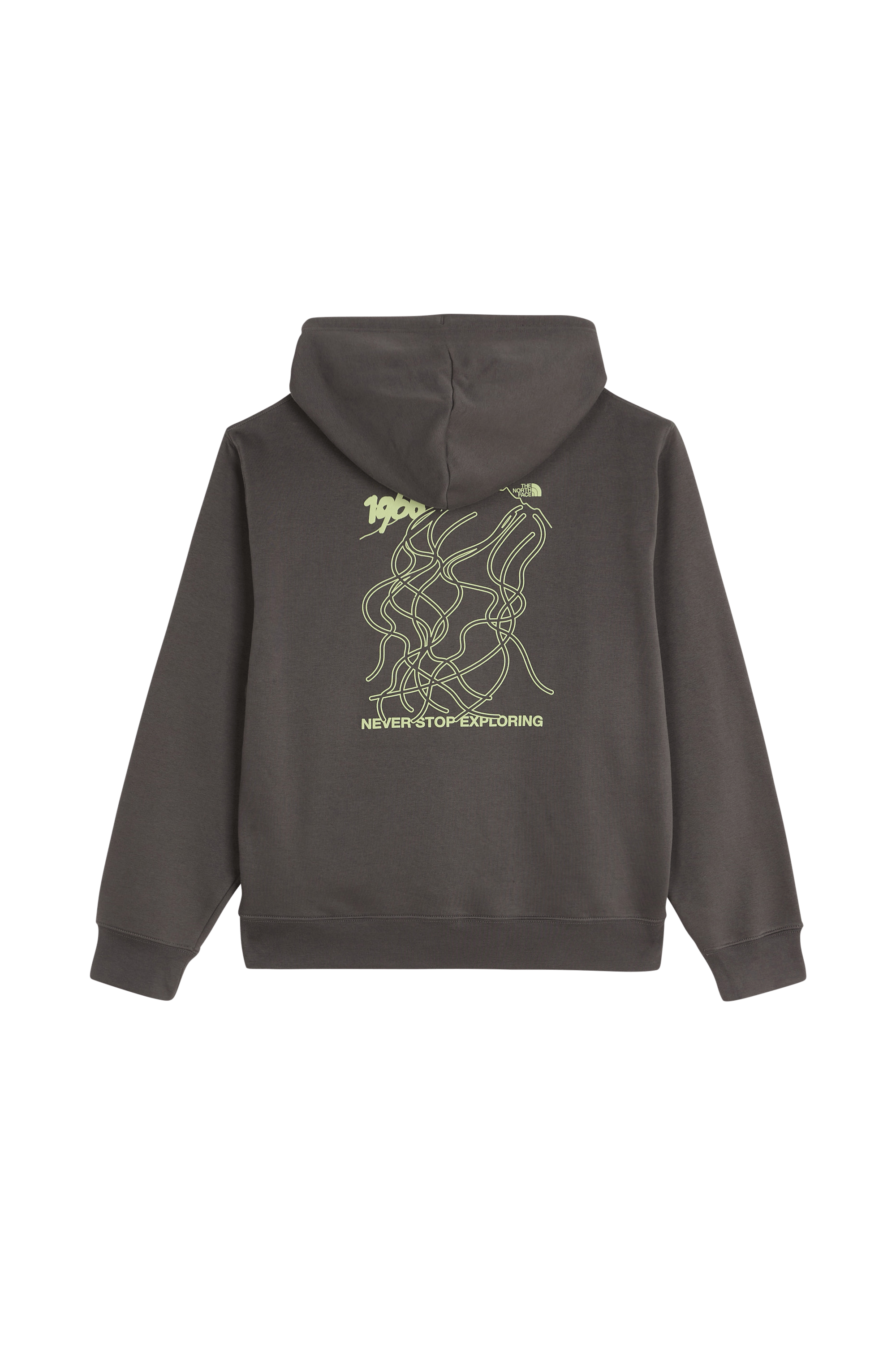 Hoodie THE NORTH FACE Gris