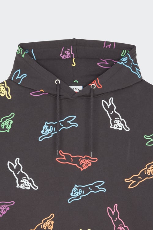 ICE CREAM Hoodie Multicolore