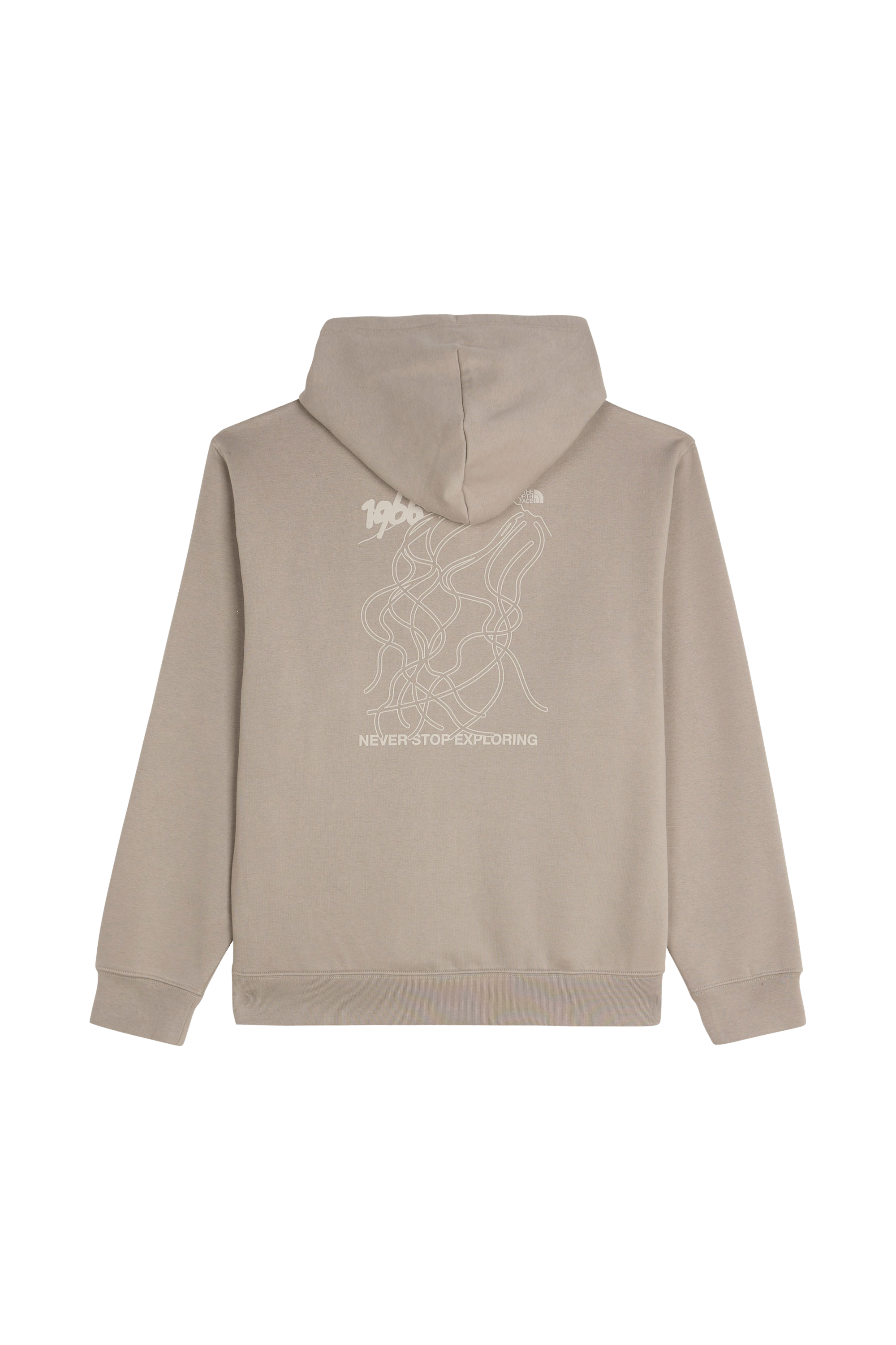 Hoodie THE NORTH FACE Gris