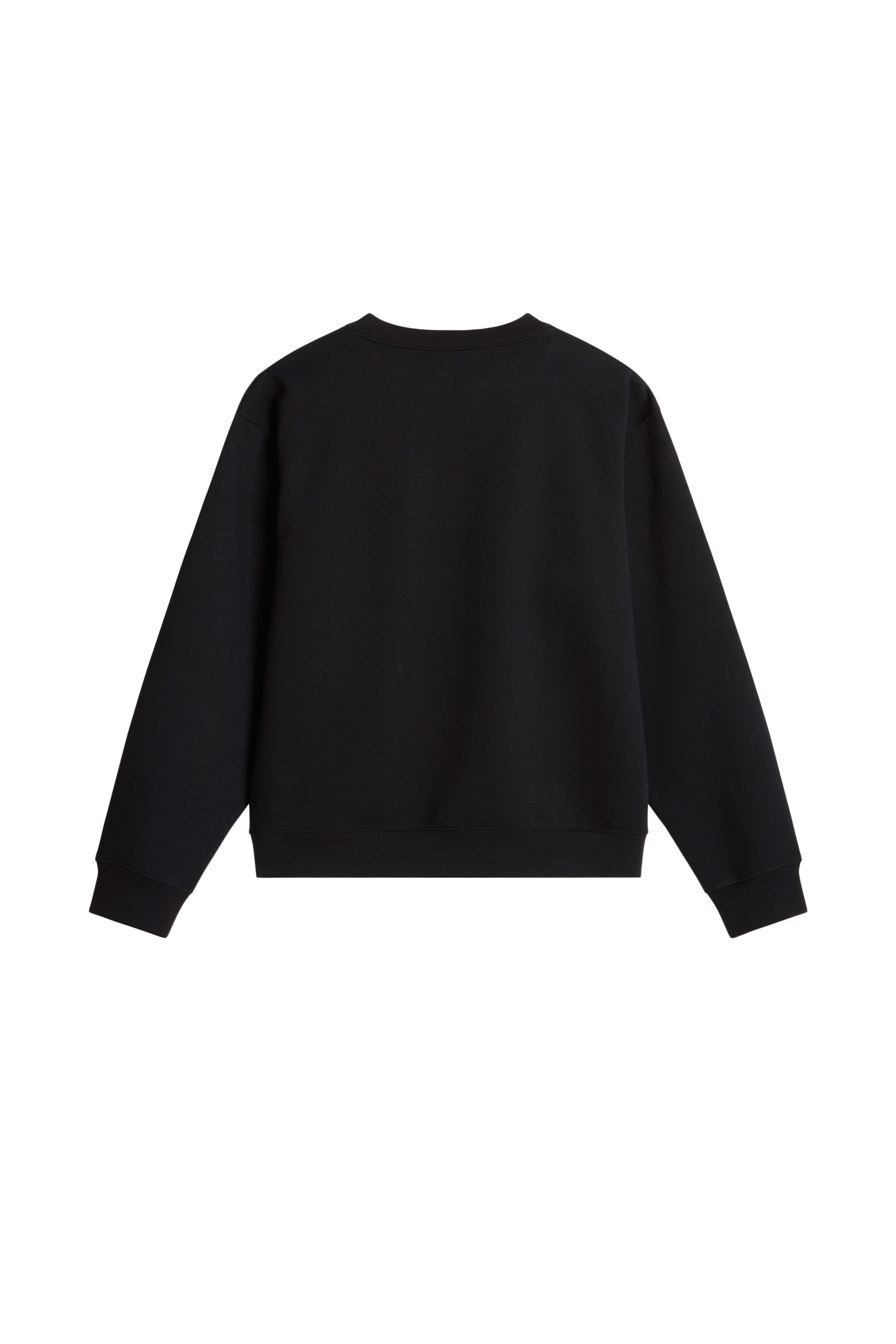 Sweatshirt | Black THE NORTH FACE Men
