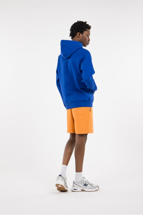 CARHARTT WIP Hoodie Bleu