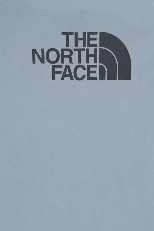THE NORTH FACE T-shirt Gris