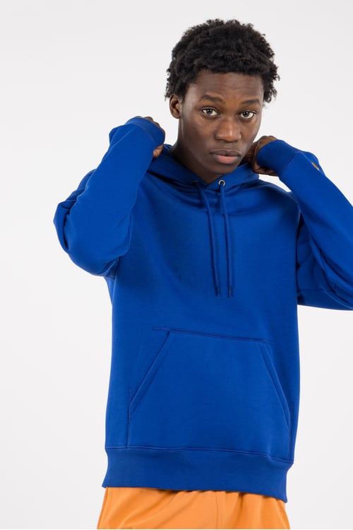 CARHARTT WIP Hoodie Bleu